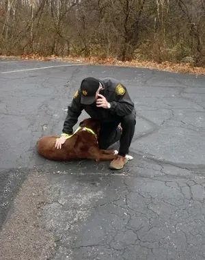 c5e462_8fa7a8568da94721a8e5052269f2f418mv2