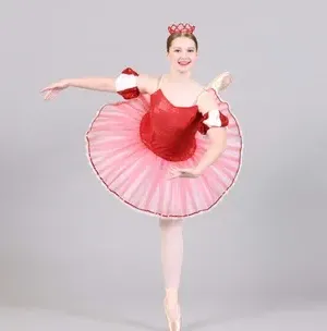 c5e462_7dd04b33b50b439692d28a15af53b155mv2