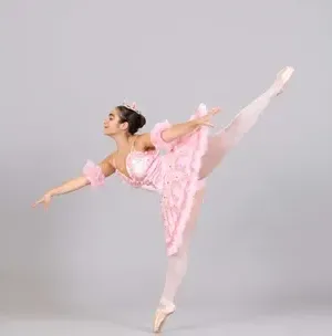 c5e462_b40e5741d14c44bbafdcae5af89cd89fmv2