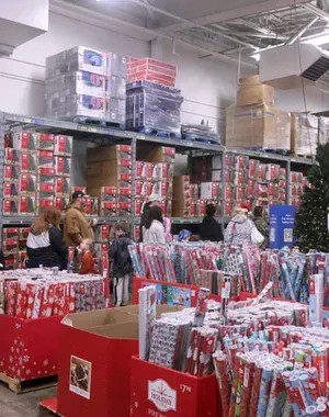 c5e462_c6fb1a18454746f6a60c9a01c8556311mv2