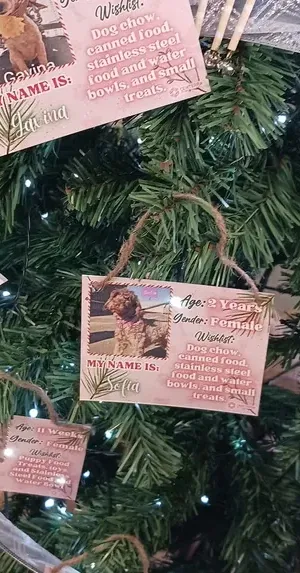 c5e462_1057c07417354ae1bb001a0bb6bcdf75mv2