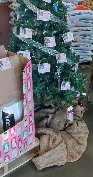 c5e462_ca408c551e38429dae35cd1fe270a84cmv2