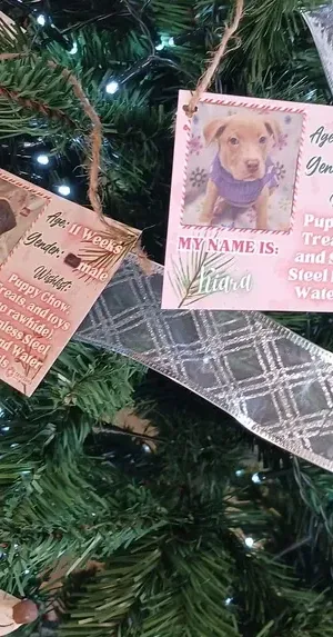 c5e462_e51b2f8711f4448d806d5dd5214ff20fmv2