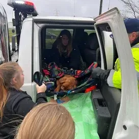 c5e462_0a8f68eb6020498eb5da60e214b1445cmv2