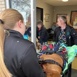 c5e462_0abf9207e4644c028d05d9c02822604emv2