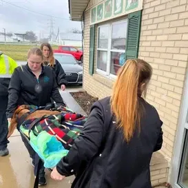 c5e462_0eac84e4455744b797a3fbab8e6e4c73mv2