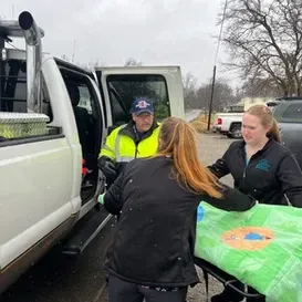 c5e462_2bcf665a9c124e7a9282ad31ef4118a2mv2