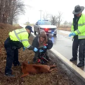 c5e462_6950bd8811794be29dd37134d9a48ebemv2