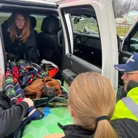 c5e462_6aa8d07396c547769a8276b5880057f6mv2