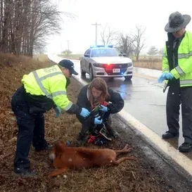 c5e462_7b9e36ace7af4654a9821519ca97351fmv2