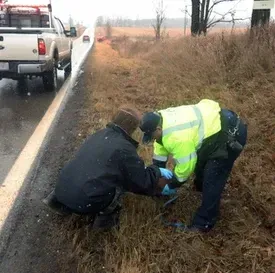 c5e462_b9f63b413f9c4b01bd5f38d1d7fe7429mv2