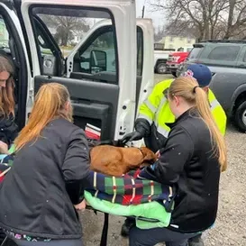 c5e462_c711ff61a60e494fa17cc2534b927e6cmv2