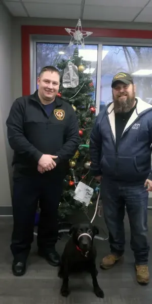 c5e462_0fdbc15c9d9f4384a888d18a4384c2f4mv2