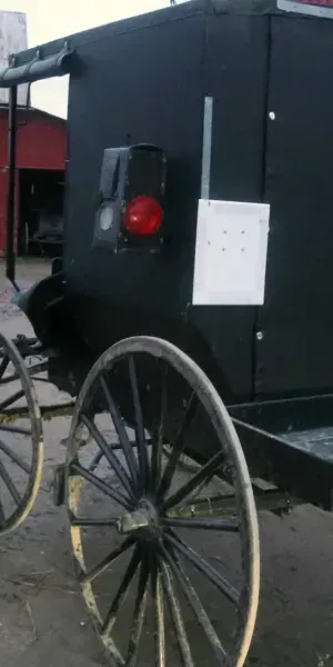 c5e462_6358b49690344d8fbf82f9e5ca55d907mv2