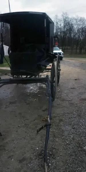 c5e462_89fb7b001096452fbdf90fe3aeaf5aaamv2