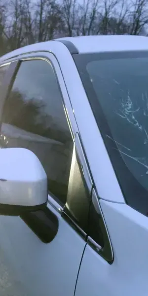 c5e462_993c893e66e746c996a0db13ec3ae439mv2