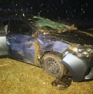 c5e462_3fa3b79344b94f2c940e461507d8bf91mv2