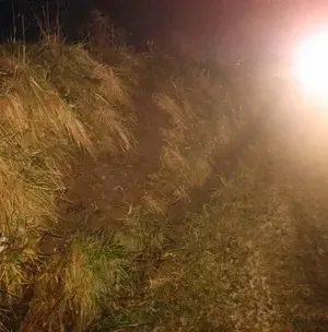 c5e462_8dbd44f32cdb4b9a89e559d341561ba0mv2