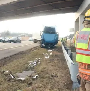 c5e462_396f1e03545e452a8b6444867a2ce56bmv2