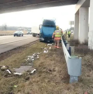 c5e462_4b2f337a45db4a7d8a1c36cf23d819c0mv2