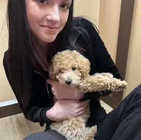 c5e462_2a067fe9a2b84245a02e6c890d67be9cmv2