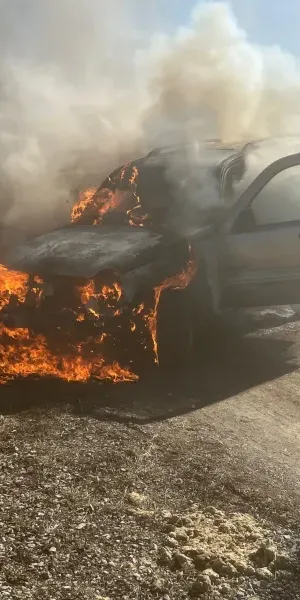 c5e462_5a054a5261a9406f980937cc1a5dfa5cmv2