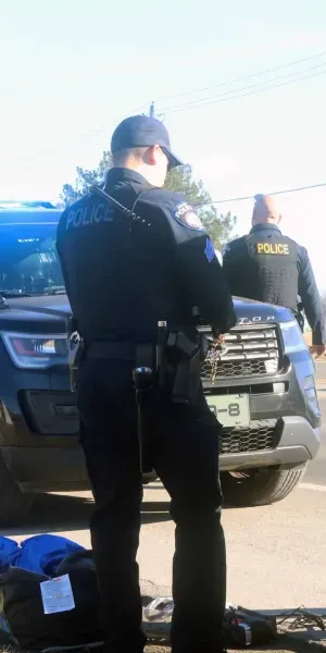 c5e462_44b5f355cd9a4d2aadd5f2e043607f00mv2