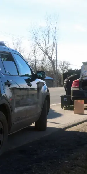 c5e462_85edec1aa69d451a9e1159ce52a4cf18mv2