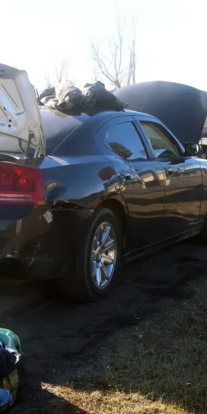 c5e462_8b3c115d204f4234804af599b75cca88mv2