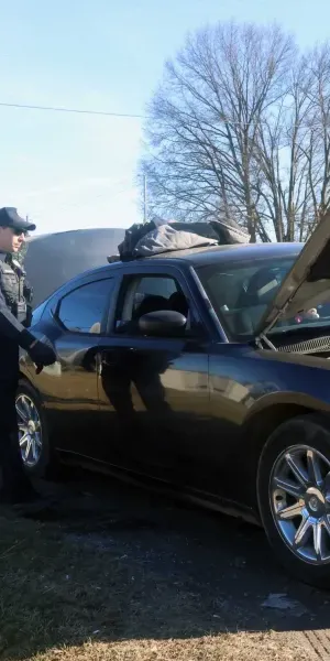 c5e462_ed0fa7b5a90d47ee9e1f161635e92f06mv2