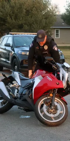 c5e462_83fb53bd61d5462bb225e6d72c52c03cmv2