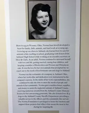 c5e462_3fec426199f3474a8078cb6210e0bb17mv2