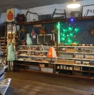 c5e462_4fb5fc491e5f4804b4192b8421558a7dmv2