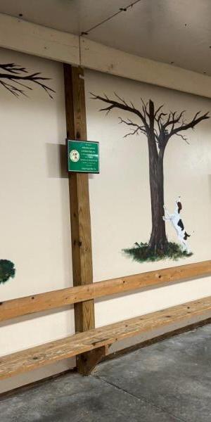 c5e462_0de8d1e345c44cf98c74e93b5ad4599emv2-Copy