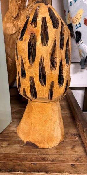 c5e462_13672889f64d4c09abe831acf0350823mv2