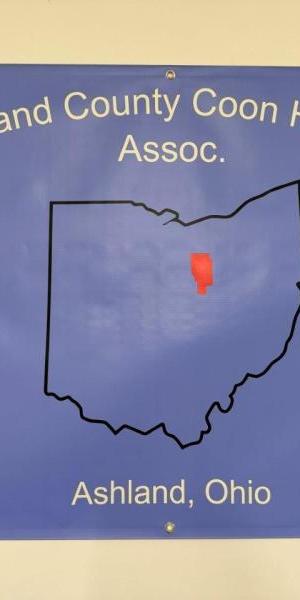 c5e462_37e8473b384d49cd8d1a7613a82a0cddmv2