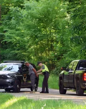 c5e462_1bfdfb8977174657ae0020448023f1dcmv2