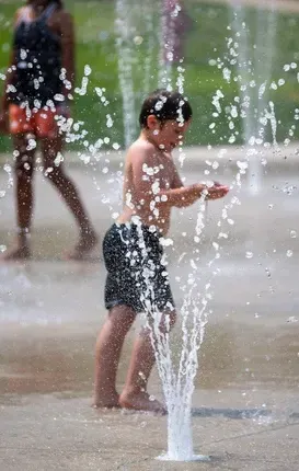 c5e462_cc8680cafd634deb8a1cab883deb160bmv2