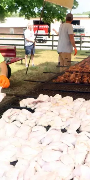 c5e462_3dff4dd6005f4eaa9fe146cfb6fb3396mv2