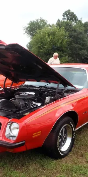 c5e462_587f93b9a9b9480f8bf480078d6598c4mv2