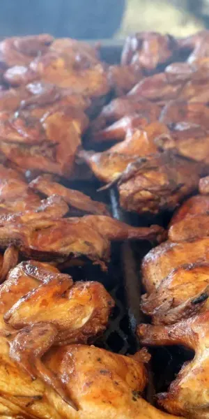 c5e462_60518d346e1f41fa906648190157d317mv2