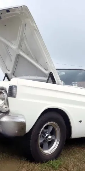 c5e462_88324a2869ed46c79b8f406711e6f3a8mv2