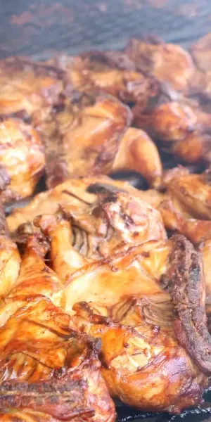 c5e462_c8fc276bf4004fe5b025534462926368mv2