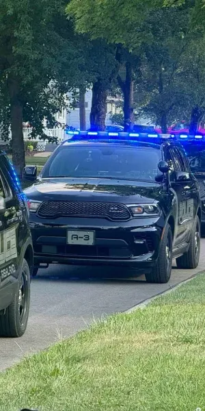 c5e462_2f4675e5a91c43c1b935c26a903dd68dmv2