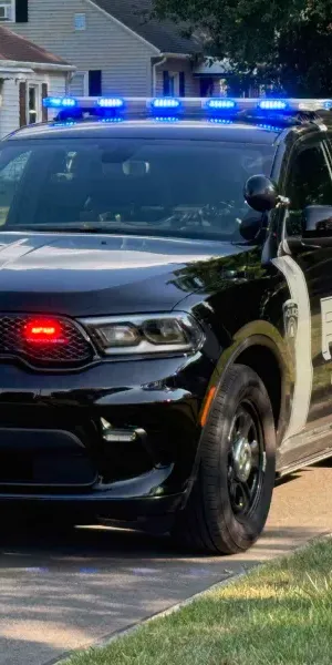 c5e462_8c5284a15d244824bbd2f995348f9e77mv2