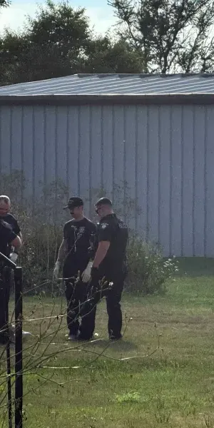 c5e462_92dd4217a00d4f8caf9b00dcb5bda594mv2