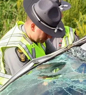 c5e462_87ef4088abec4314bdc17a27aea731bemv2