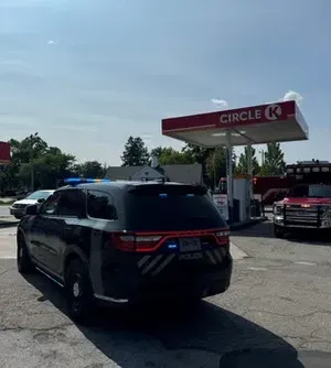 c5e462_15246afd5c164c94a9bfbbd66a7c5ba0mv2