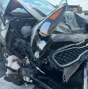 c5e462_d8624591b0bc4024a3a29c58db694af2mv2