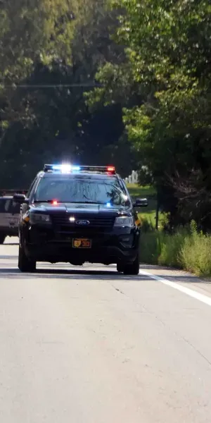 c5e462_01a89d6c63364ab2a04d2f0445ec13bemv2